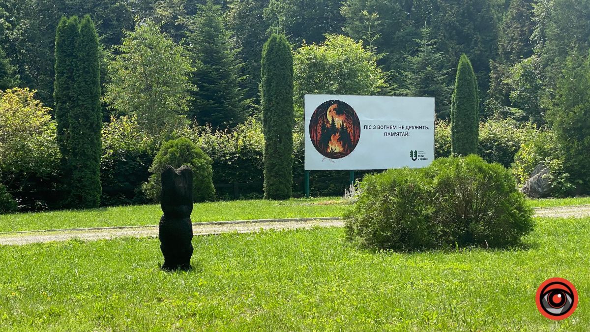 Відпочинок поруч Коломиї | Тисовий заповідник у Княждворі 10