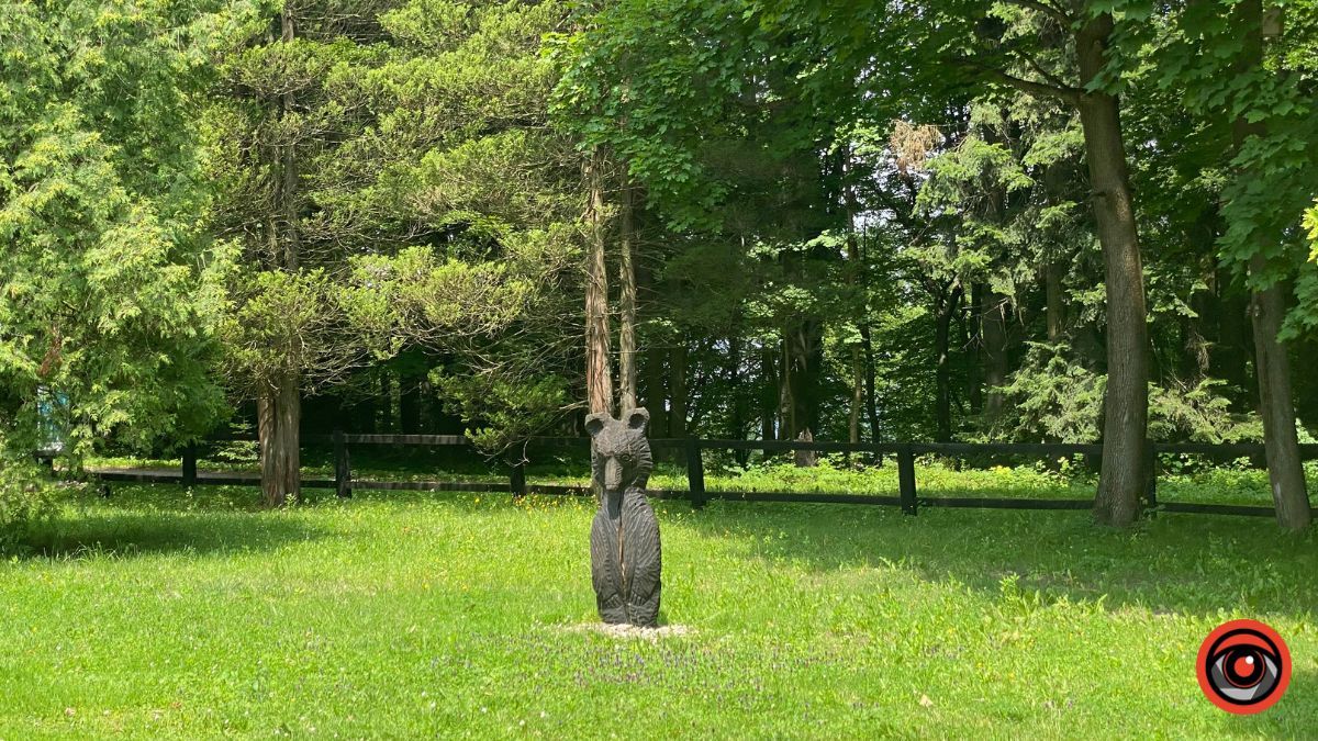 Відпочинок поруч Коломиї | Тисовий заповідник у Княждворі 11