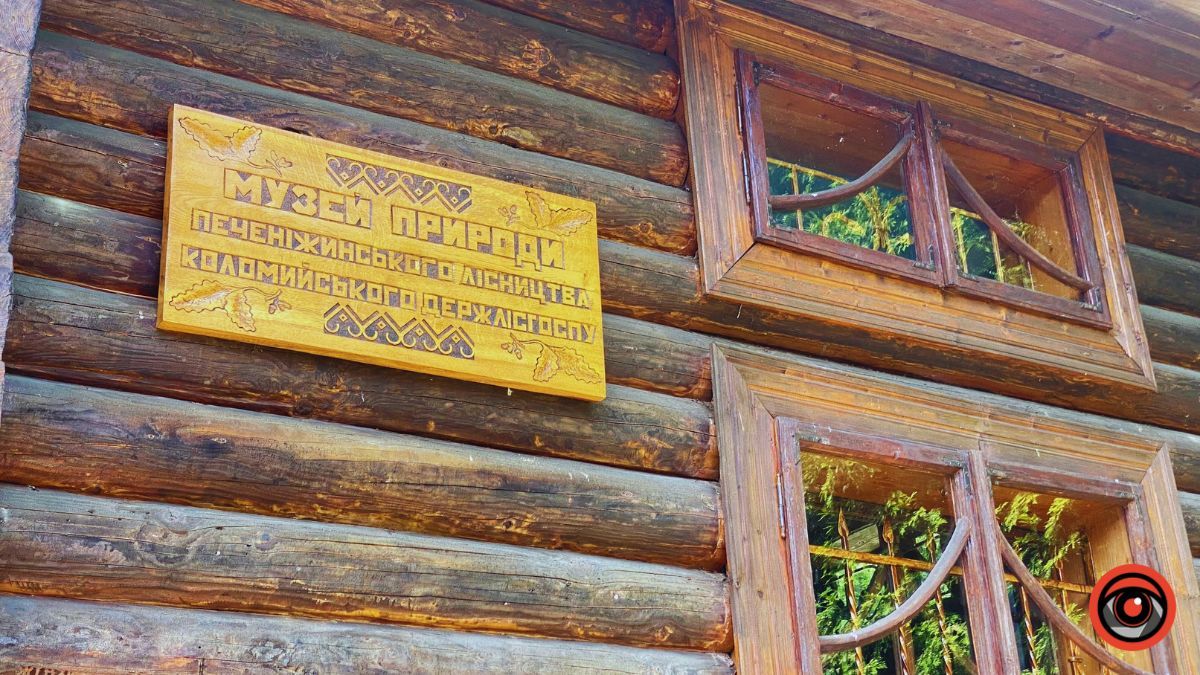 Відпочинок поруч Коломиї | Тисовий заповідник у Княждворі 12