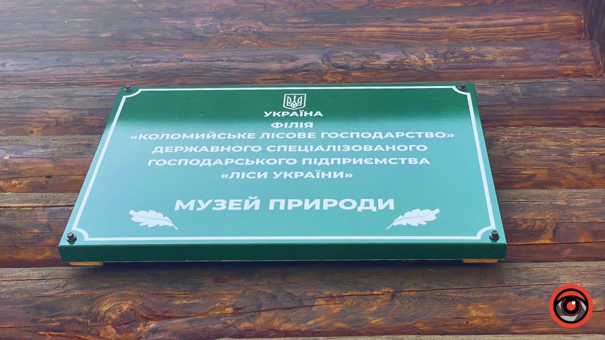 Відпочинок поруч Коломиї | Тисовий заповідник у Княждворі 13