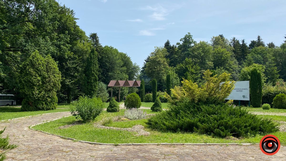 Відпочинок поруч Коломиї | Тисовий заповідник у Княждворі 15