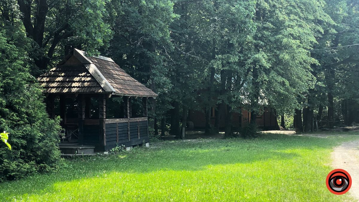 Відпочинок поруч Коломиї | Тисовий заповідник у Княждворі 16