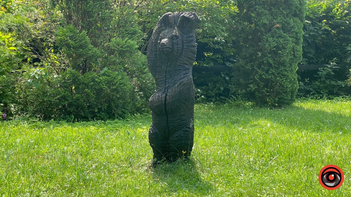 Відпочинок поруч Коломиї | Тисовий заповідник у Княждворі 17