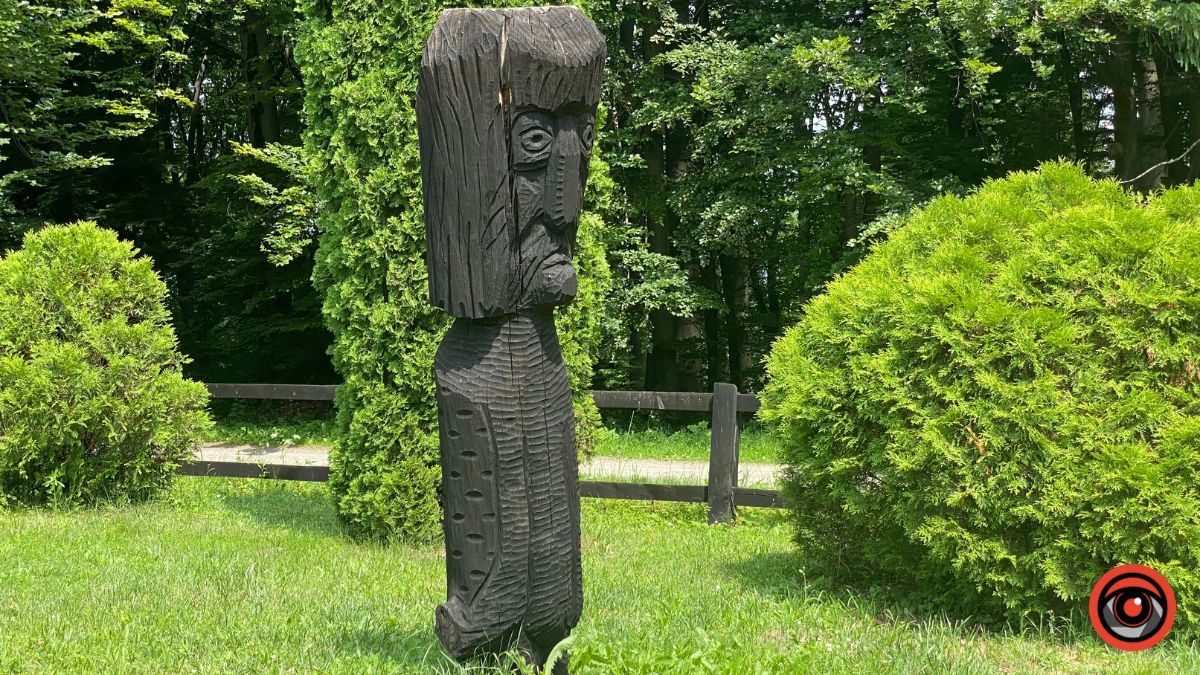 Відпочинок поруч Коломиї | Тисовий заповідник у Княждворі 18