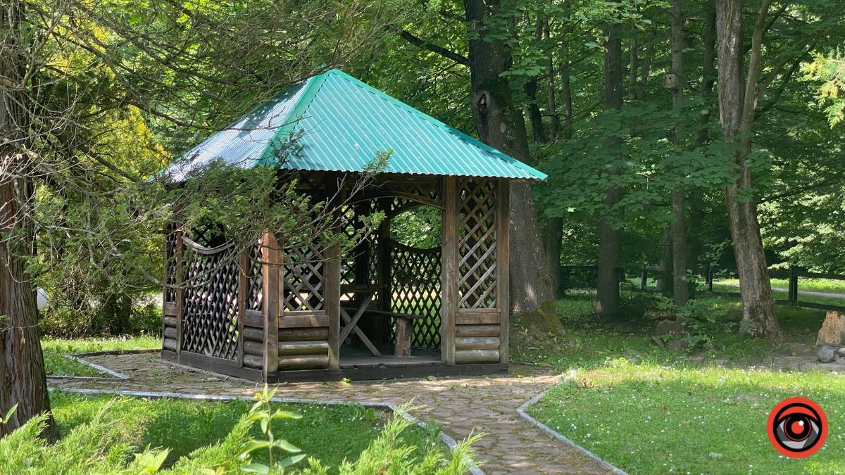 Відпочинок поруч Коломиї | Тисовий заповідник у Княждворі 20