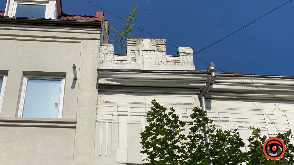 У Коломиї на історичних будівлях ростуть дерева 5