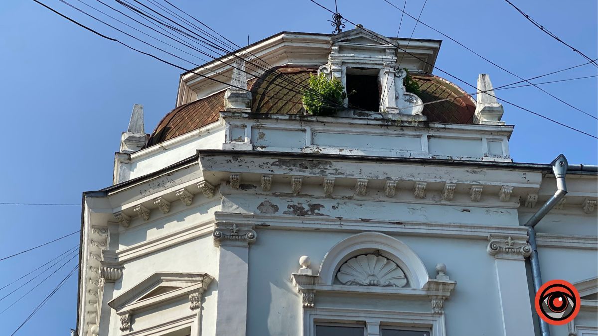 У Коломиї на історичних будівлях ростуть дерева 4