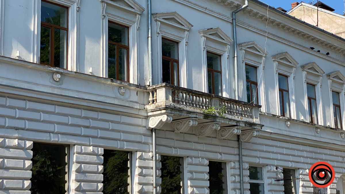 У Коломиї на історичних будівлях ростуть дерева 3