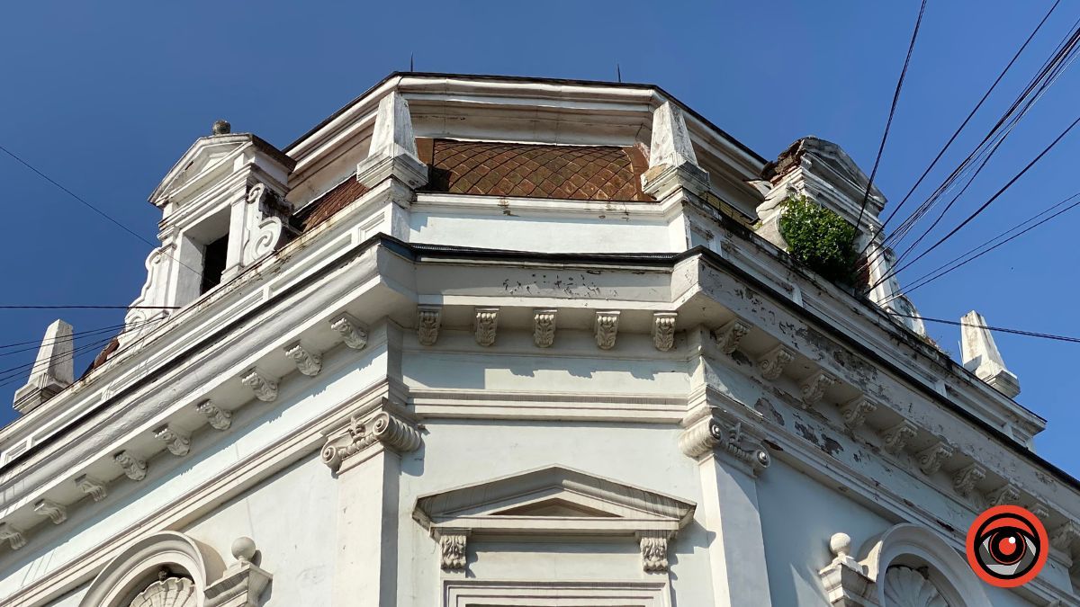 У Коломиї на історичних будівлях ростуть дерева 2