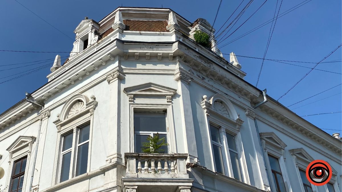 У Коломиї на історичних будівлях ростуть дерева 6