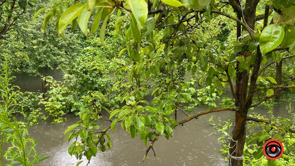 У Коломиї річка Млинівка вийшла з берегів | ВІДЕО 12