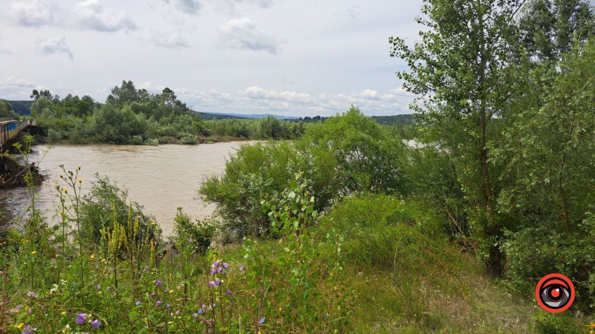 Який рівень води в Пруті 8 липня? 6