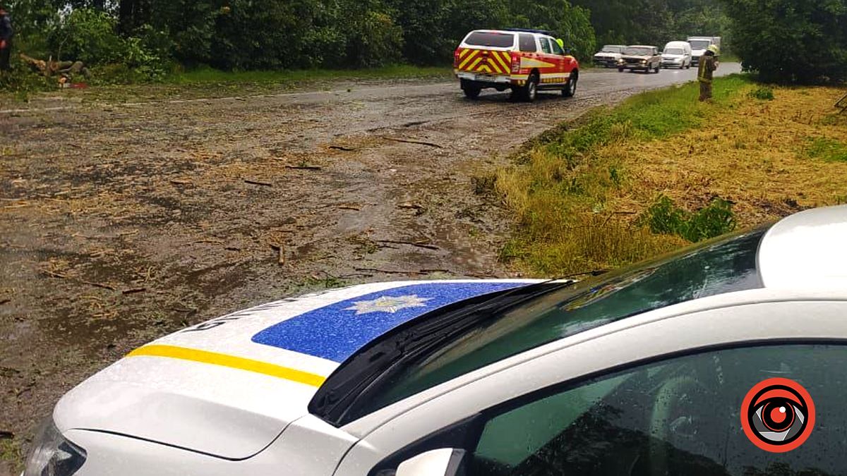 Під час злив на Коломийщині дерева повалило на трасу Н-10 2