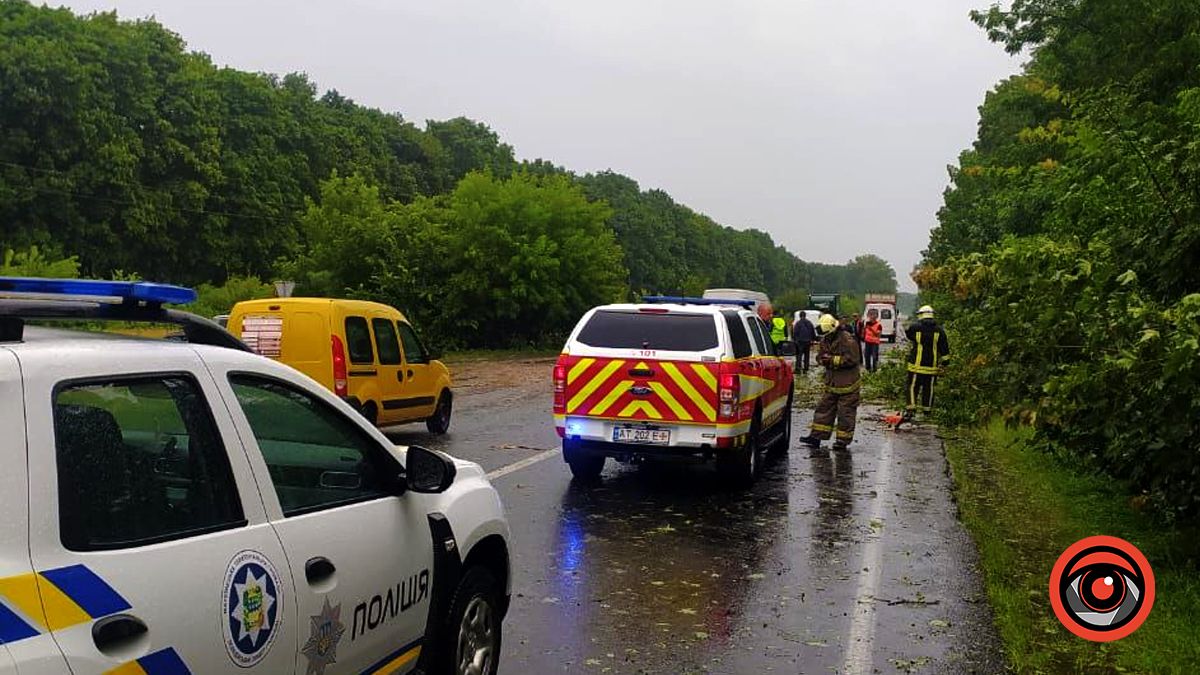 Під час злив на Коломийщині дерева повалило на трасу Н-10 1