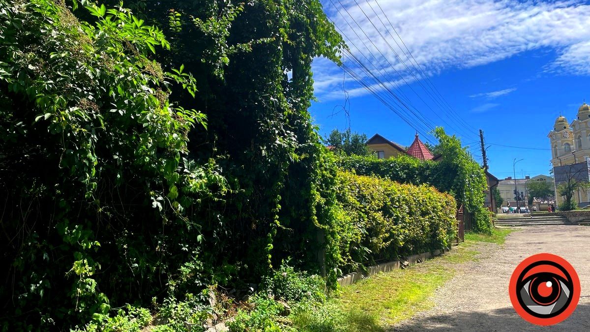 Історія перейменувань: вулиця Ю. Федьковича в Коломиї 1