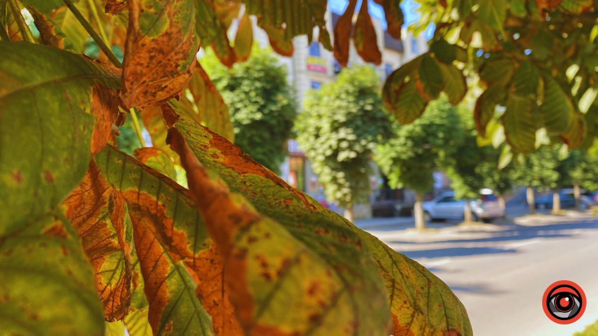 Недільна тиха Коломия | Фоторепортаж від Інформатора 12