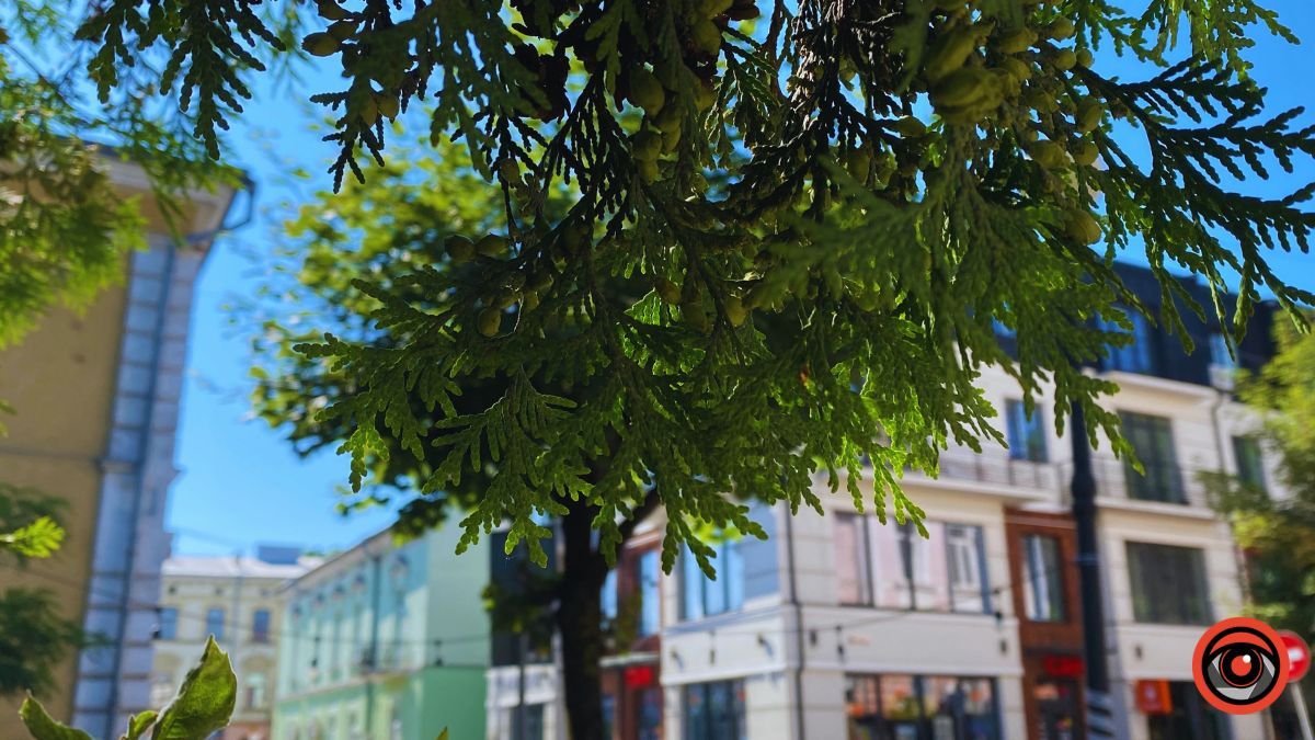 Недільна тиха Коломия | Фоторепортаж від Інформатора 4