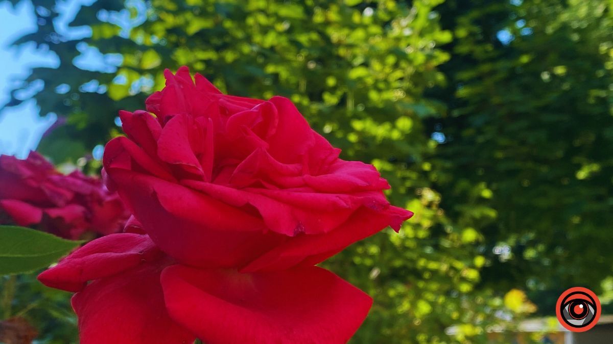 Сонячна Коломия | недільний фоторепортаж від Інформатора 12