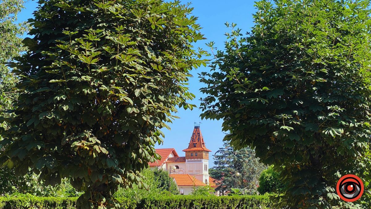 Куди піти у Коломиї 10 липня