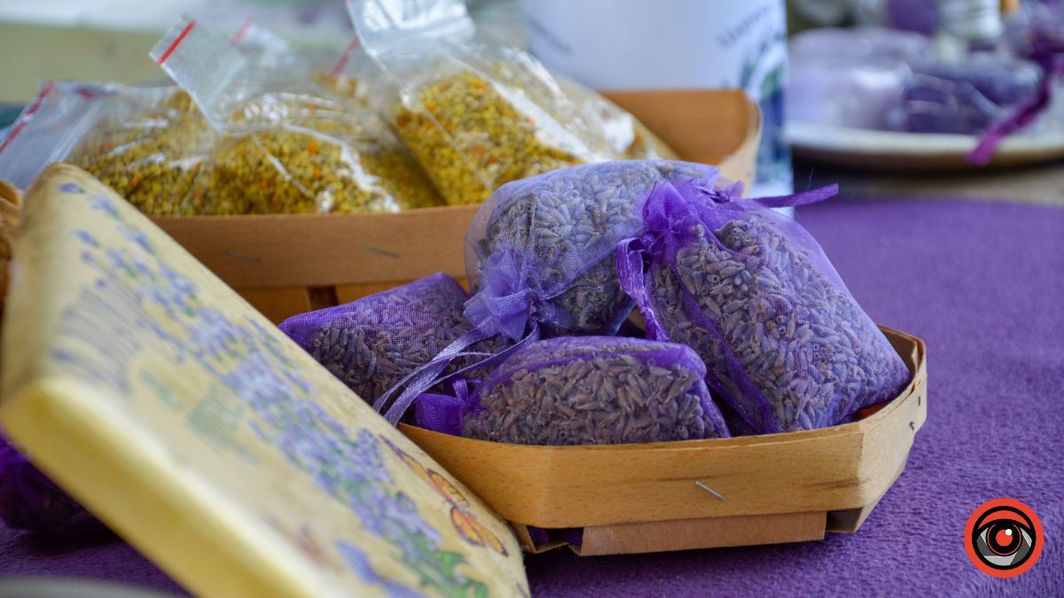 Спокій та рівновага: фотоподорож на Лавандову царину в Коршеві 13