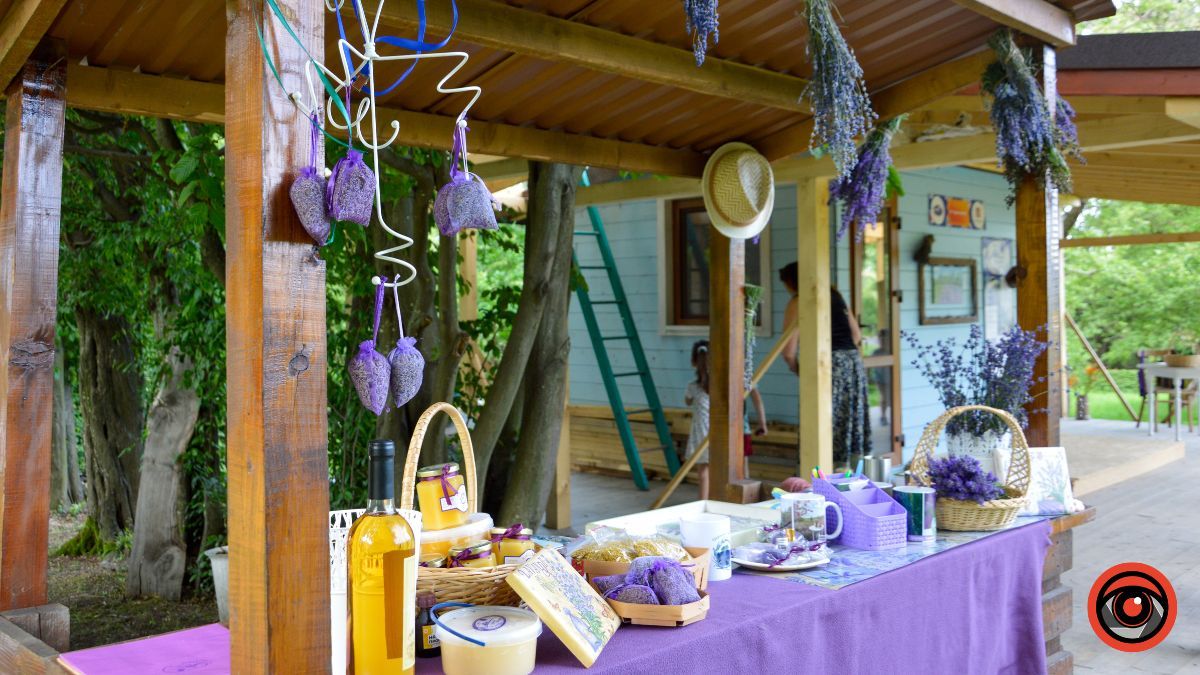 Спокій та рівновага: фотоподорож на Лавандову царину в Коршеві 11