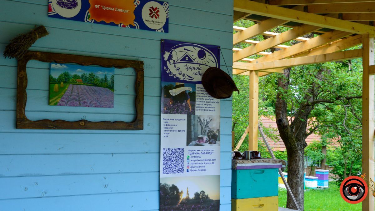 Спокій та рівновага: фотоподорож на Лавандову царину в Коршеві 16