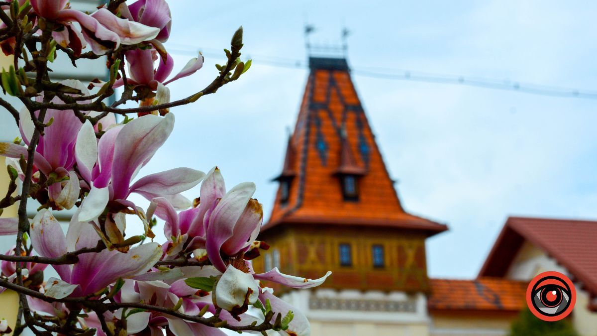 Як змінилась Коломийська філармонія імені Олександра Козаренка з дня її створення