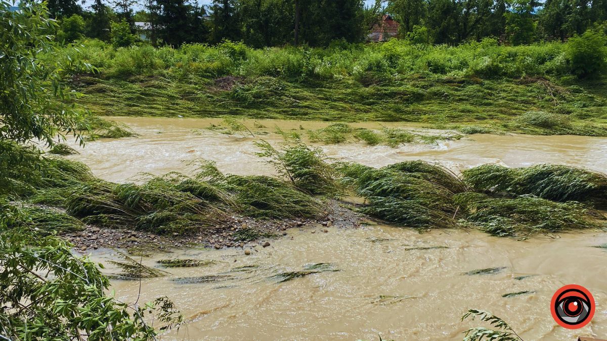 Наслідки негоди у Нижньому Вербіжі | 8 липня 12