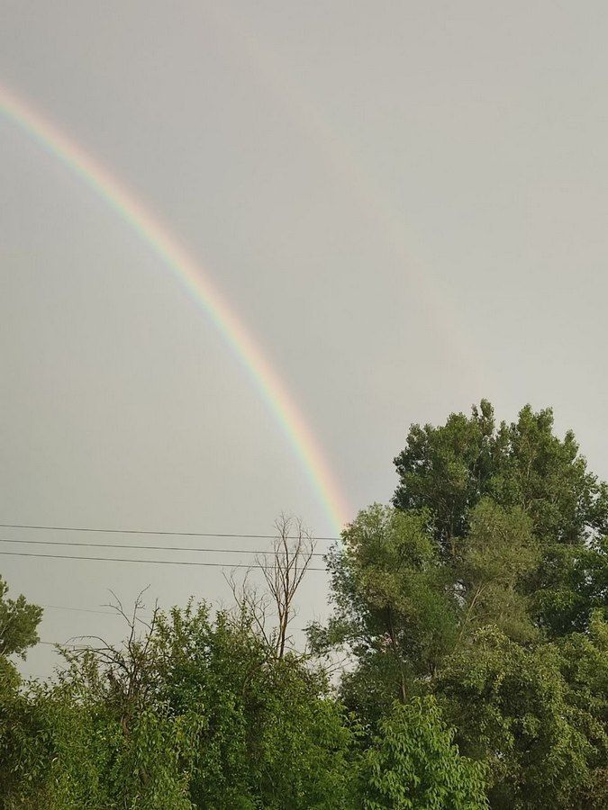 Веселкова Коломия: фото від читачів 17