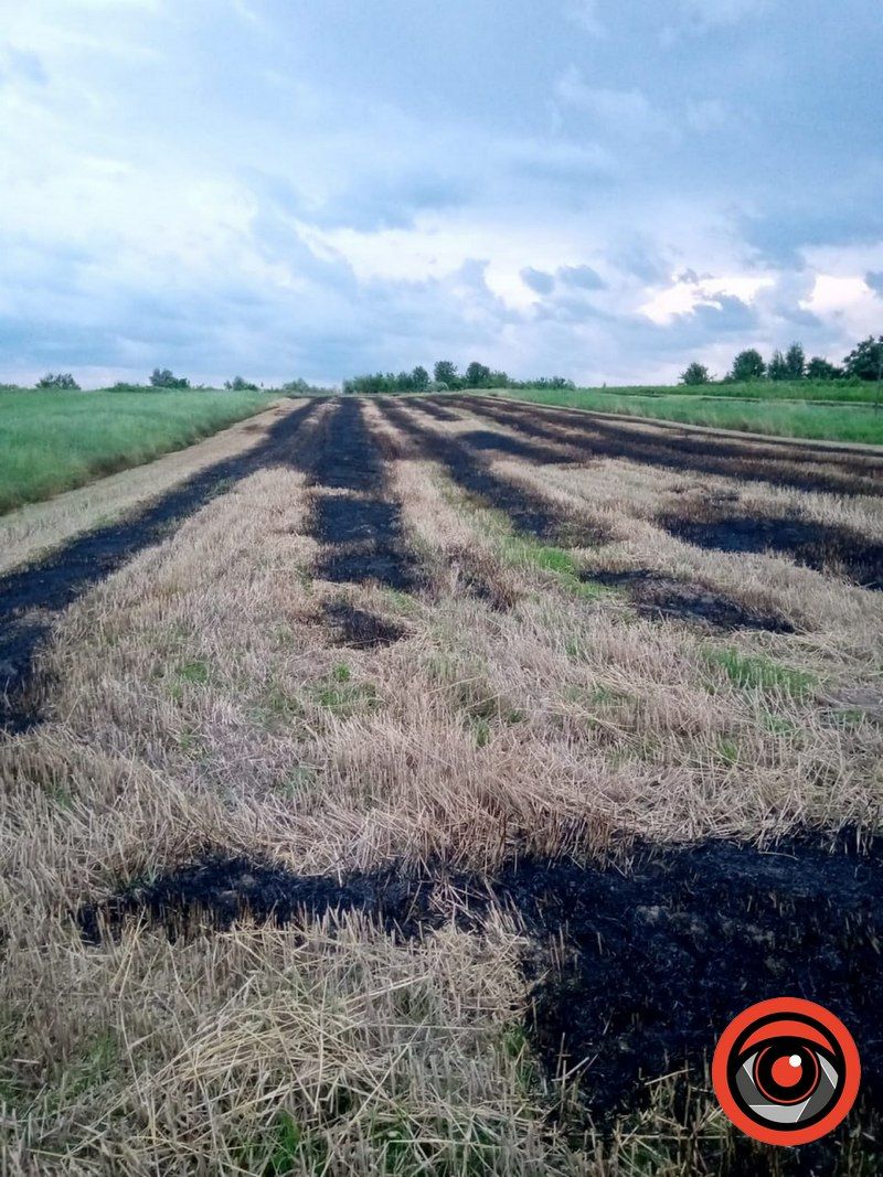 По жнивах - пожежі: на Коломийщині нові випадки підпалів стерні 1