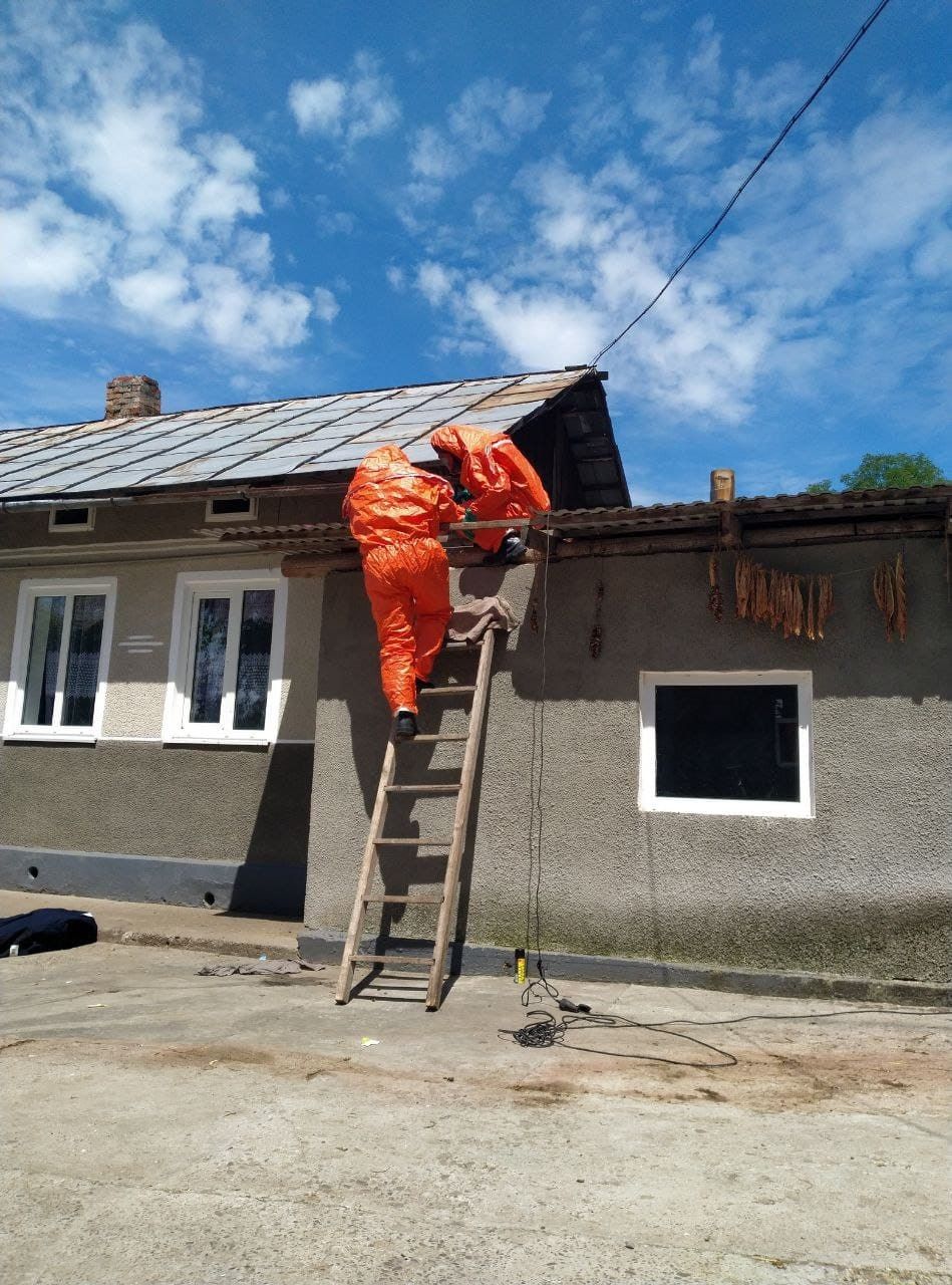 На Городенківщині ДСНС допомагала позбутися від гнізда шершнів 2