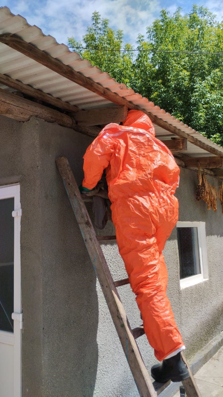 На Городенківщині ДСНС допомагала позбутися від гнізда шершнів 1