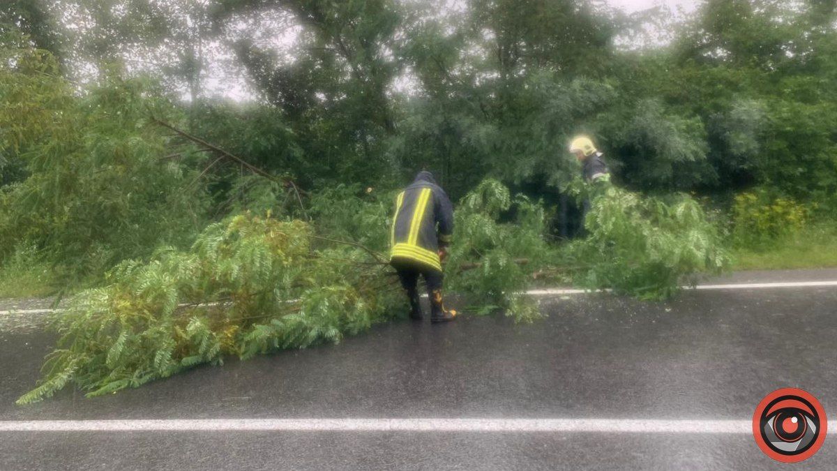 Внаслідок негоди на трасі Н-10 дерево загородило частину дороги на Коломийщині 4