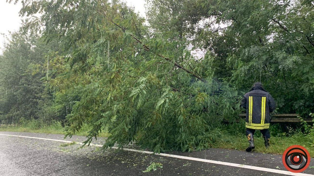 Внаслідок негоди на трасі Н-10 дерево загородило частину дороги на Коломийщині 1