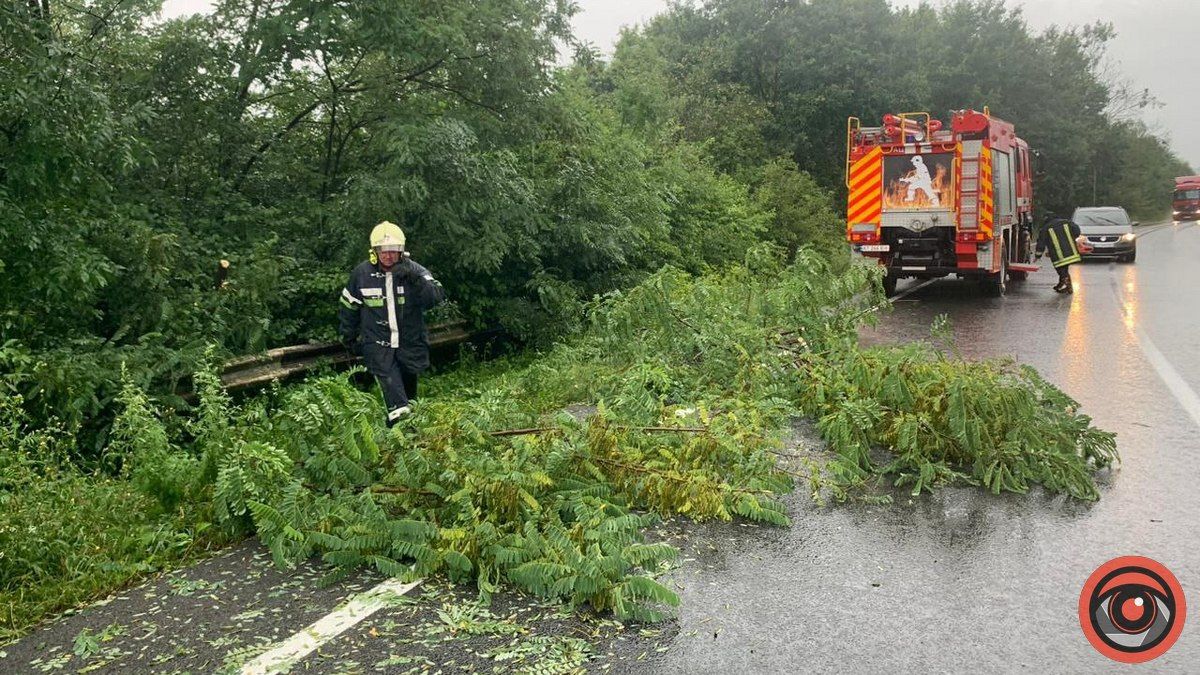 Внаслідок негоди на трасі Н-10 дерево загородило частину дороги на Коломийщині 3