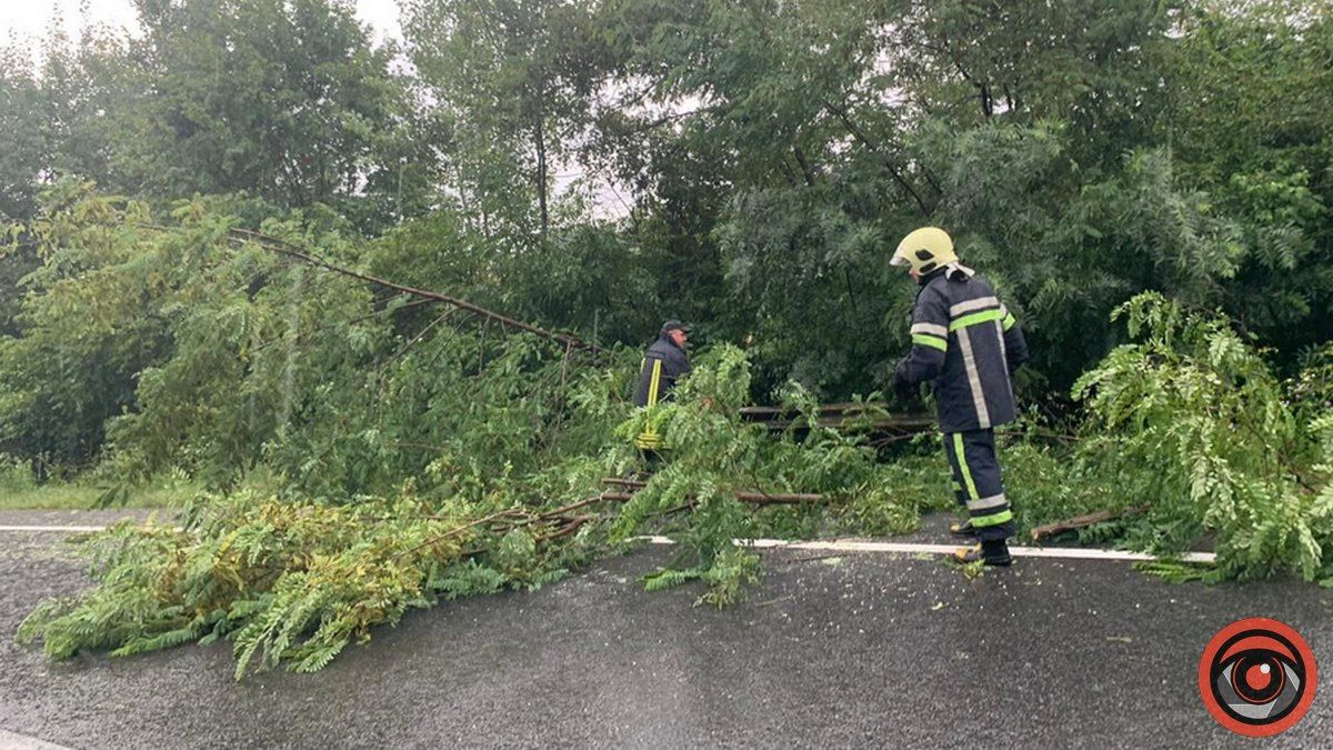 Внаслідок негоди на трасі Н-10 дерево загородило частину дороги на Коломийщині 2
