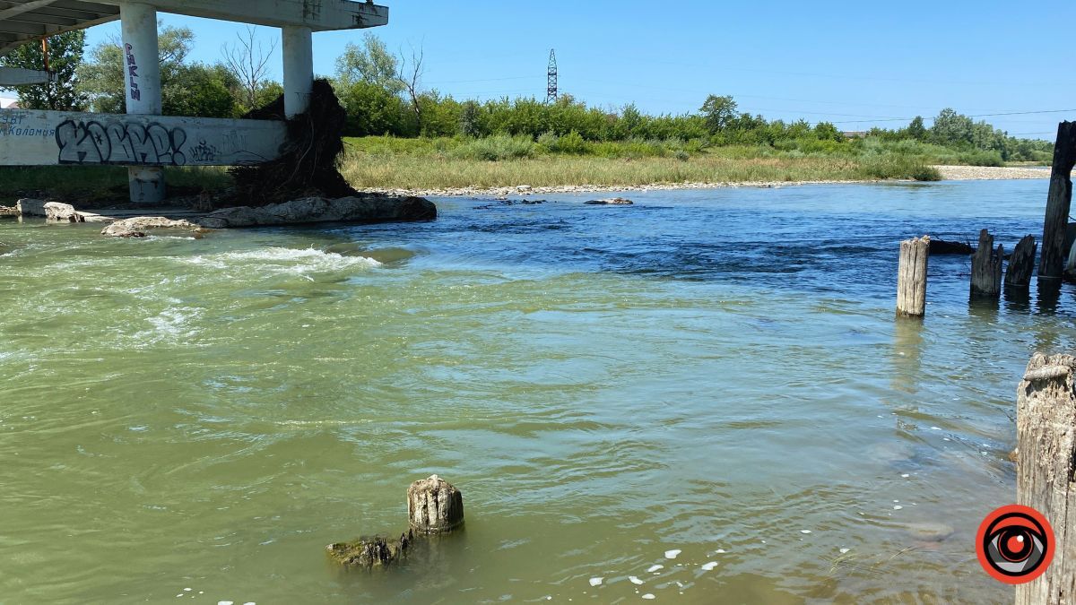 Купатися або ж ні: чи чиста вода у Пруті? 3