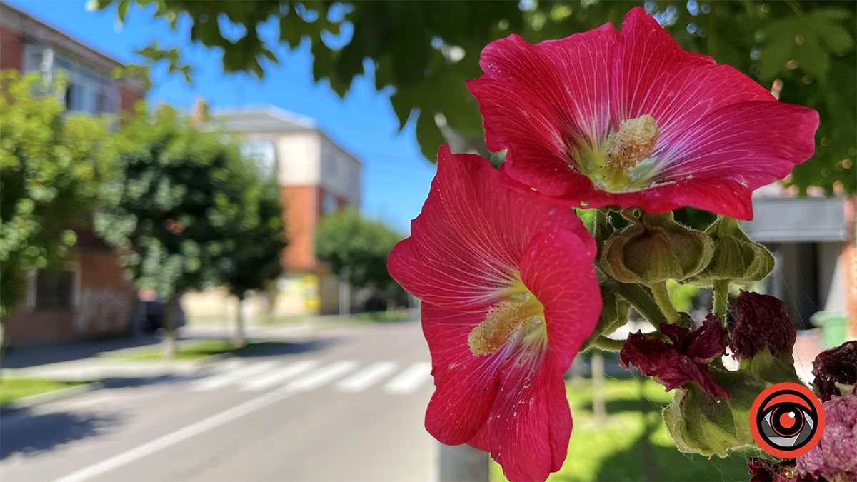 750 метрів вулицею Юрія Шкрумеляка в Коломиї 33