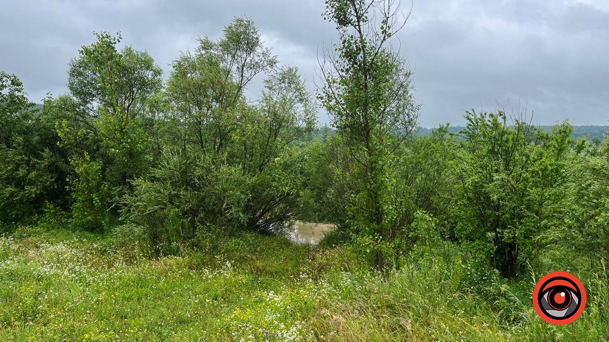 Який рівень води біля Стрітенського моста у Воскресинцях 3
