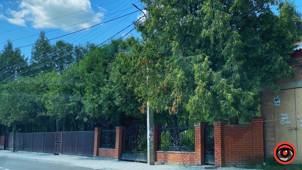 Яскрава історія 650 метрів вулиці Гетьманської у Коломиї 5