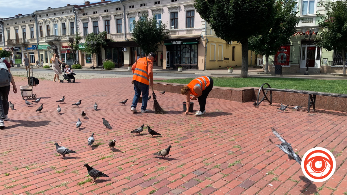 Комунальники вручну вичищають бруківку на площі Відродження, закуплений за 1,5 млн грн апарат ще не використовують