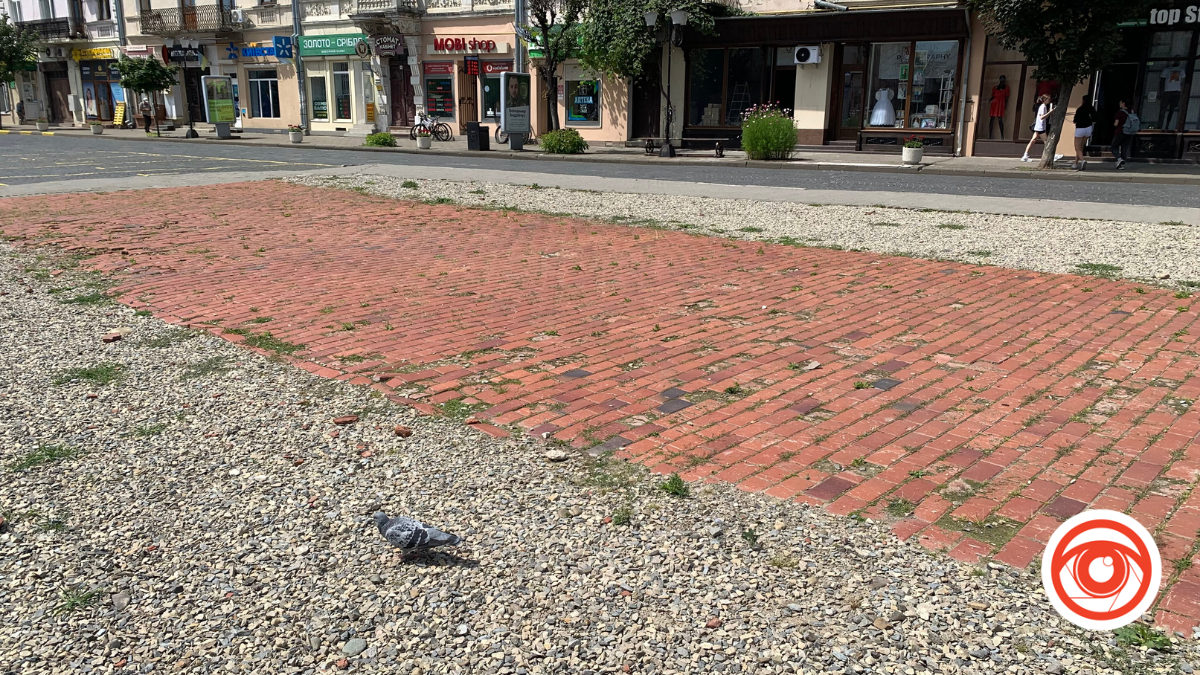 Комунальники вручну вичищають бруківку на площі Відродження, закуплений за 1,5 млн грн апарат ще не використовують 3