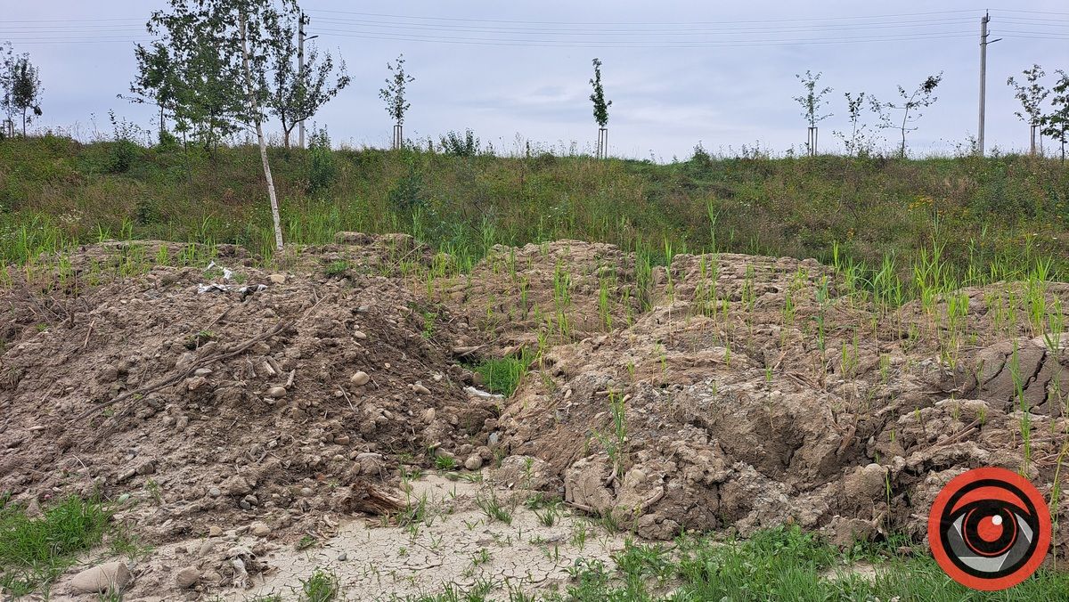 Чистка за 4,6 млн грн: на берегах Шевченківського озера проростають трави на тонах намулу