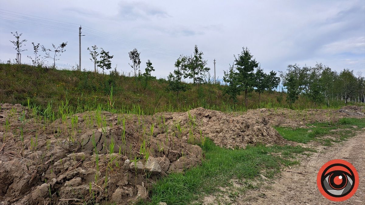 Чистка за 4,6 млн грн: на берегах Шевченківського озера проростають трави на тонах намулу 1