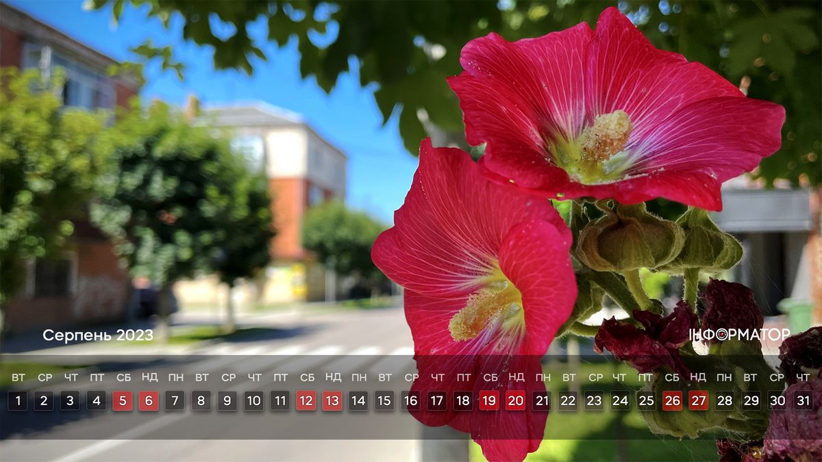Серпень 2023. Календар на робочий стіл від Інформатора 3