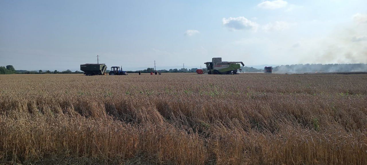 Під Коломиєю горить поле з пшеницею 3