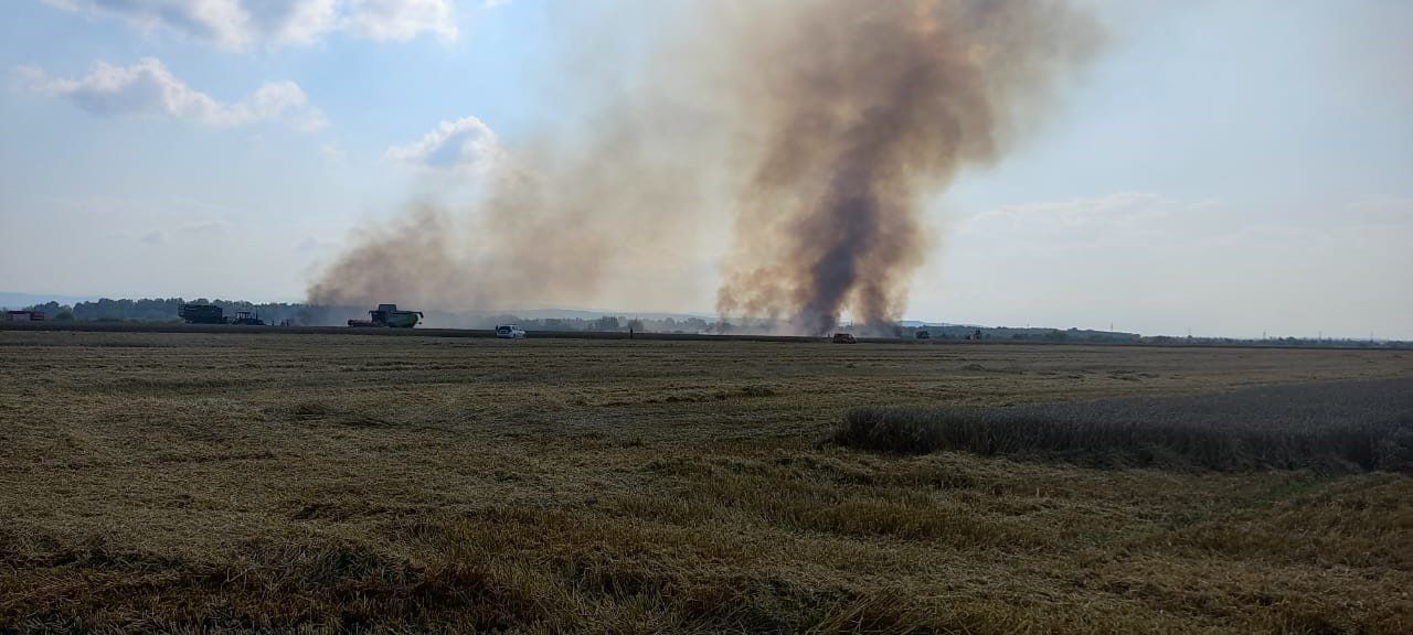 Під Коломиєю горить поле з пшеницею 1