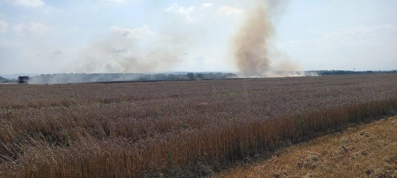 Під Коломиєю горить поле з пшеницею 4