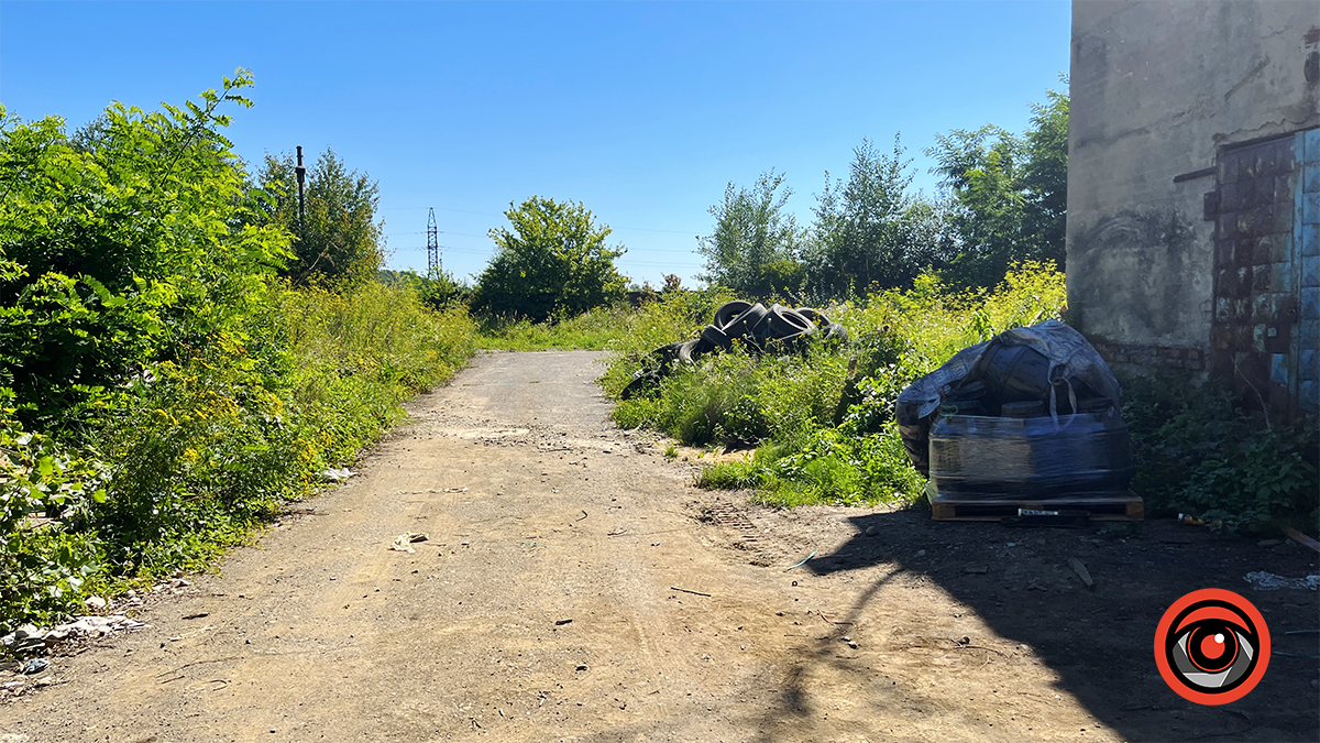 Здохла риба і нестерпний сморід: мешканці Королівки б'ють на сполох через ймовірну екологічну небезпеку 12