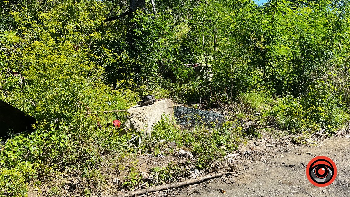 Здохла риба і нестерпний сморід: мешканці Королівки б'ють на сполох через ймовірну екологічну небезпеку 4